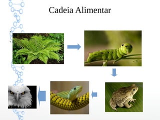 Cadeia Alimentar
●
●
 