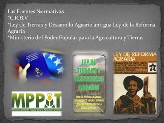 Las Fuentes Normativas
*C.R.B.V
*Ley de Tierras y Desarrollo Agrario antigua Ley de la Reforma
Agraria
*Ministerio del Poder Popular para la Agricultura y Tierras