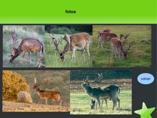 fotos

volver

 

 

 
