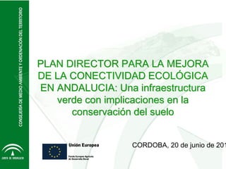 CORDOBA, 20 de junio de 201
PLAN DIRECTOR PARA LA MEJORA
DE LA CONECTIVIDAD ECOLÓGICA
EN ANDALUCIA: Una infraestructura
verde con implicaciones en la
conservación del suelo
 