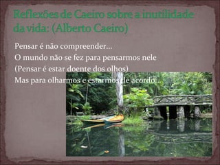 Pensar é não compreender... O mundo não se fez para pensarmos nele (Pensar é estar doente dos olhos)‏ Mas para olharmos e estarmos de acordo... 