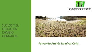 SUELOS Y SU
EFECTO EN
CAMBIO
CLIMÁTICO.
Fernando Andrés Ramírez Ortiz.
 