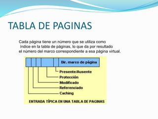 TABLA DE PAGINAS
Cada página tiene un número que se utiliza como
índice en la tabla de páginas, lo que da por resultado
el número del marco correspondiente a esa página virtual.
 
