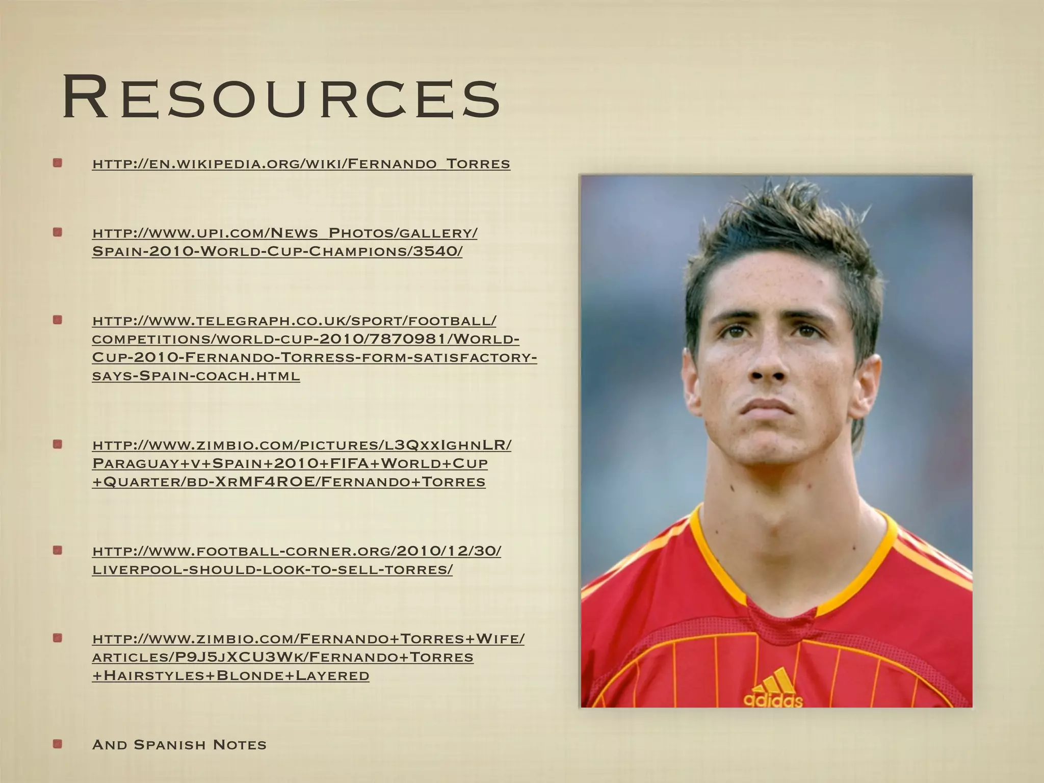 Fernando Torres PPT