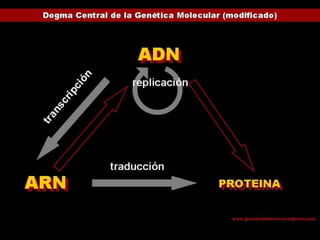 PROCESO QUE OBSERVAMOS DE LA SIGUIENTE MANERA
 