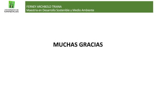 FERNEY ARCHBOLD TRIANA
Maestria en Desarrollo Sostenible y Medio Ambiente
MUCHAS GRACIAS
 