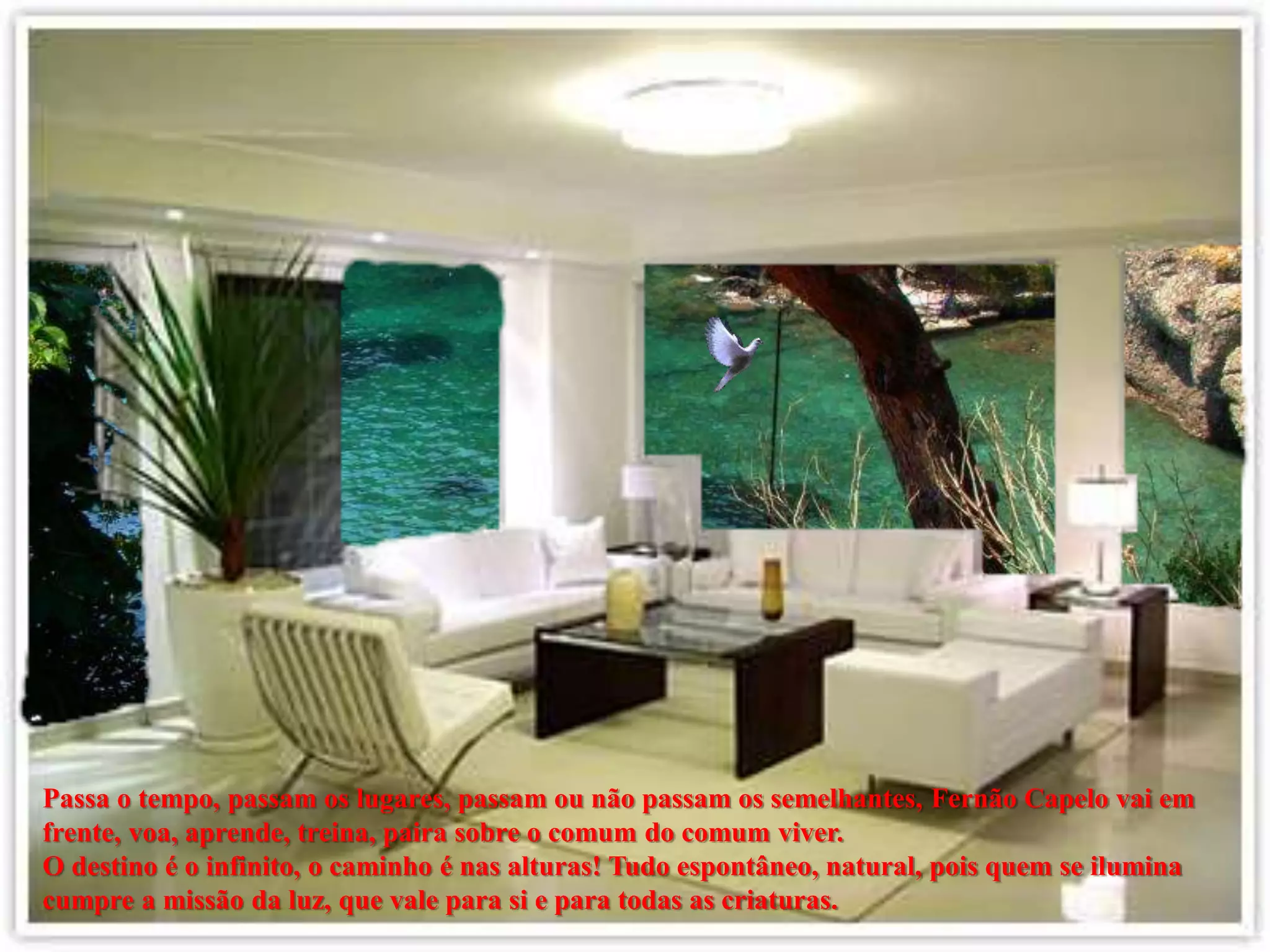 Passa o tempo, passam os lugares, passam ou não passam os semelhantes, Fernão Capelo vai em
frente, voa, aprende, treina, paira sobre o comum do comum viver.
O destino é o infinito, o caminho é nas alturas! Tudo espontâneo, natural, pois quem se ilumina
cumpre a missão da luz, que vale para si e para todas as criaturas.
 