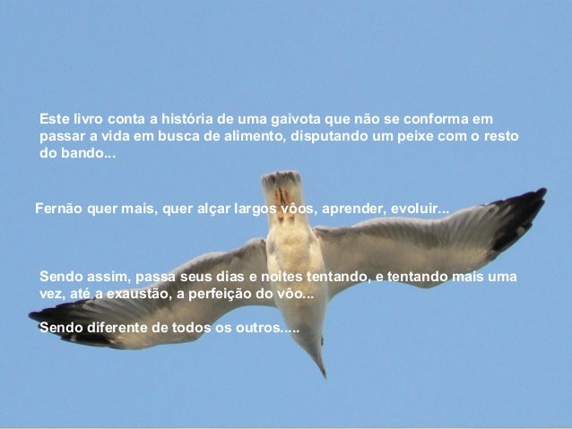 fernão capelo gaivota in english quotes fernão capelo gaivota in english quotes