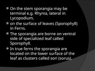  On the stem sporangia may be
terminal e.g. Rhynia, lateral in
Lycopodium,
 on the surface of leaves (Sporophyll)
in Ferns.
 The sporangia are borne on ventral
side of specialized leaf called
Sporophyll.
 In true ferns the sporangia are
located on the lower surface of the
leaf as clusters called sori (sorus).
 