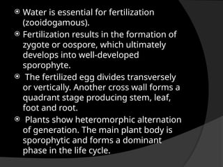  Water is essential for fertilization
(zooidogamous).
 Fertilization results in the formation of
zygote or oospore, which ultimately
develops into well-developed
sporophyte.
 The fertilized egg divides transversely
or vertically. Another cross wall forms a
quadrant stage producing stem, leaf,
foot and root.
 Plants show heteromorphic alternation
of generation. The main plant body is
sporophytic and forms a dominant
phase in the life cycle.
 