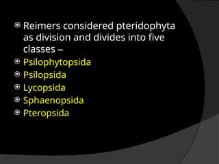  Reimers considered pteridophyta
as division and divides into five
classes –
 Psilophytopsida
 Psilopsida
 Lycopsida
 Sphaenopsida
 Pteropsida
 