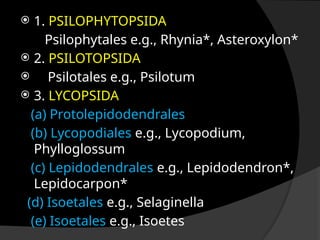  1. PSILOPHYTOPSIDA
Psilophytales e.g., Rhynia*, Asteroxylon*
 2. PSILOTOPSIDA
 Psilotales e.g., Psilotum
 3. LYCOPSIDA
(a) Protolepidodendrales
(b) Lycopodiales e.g., Lycopodium,
Phylloglossum
(c) Lepidodendrales e.g., Lepidodendron*,
Lepidocarpon*
(d) Isoetales e.g., Selaginella
(e) Isoetales e.g., Isoetes
 