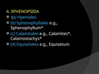 Comprehensive Overview of Pteridophytes: Characteristics ...