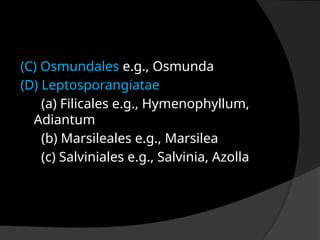 (C) Osmundales e.g., Osmunda
(D) Leptosporangiatae
(a) Filicales e.g., Hymenophyllum,
Adiantum
(b) Marsileales e.g., Marsilea
(c) Salviniales e.g., Salvinia, Azolla
 