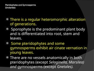Pteridophytes and Gymnosperms
Similarities
 There is a regular heteromorphic alteration
of generations.
 Sporophyte is the predominant plant body
and is differentiated into root, stem and
leaves.
 Some pteridophytes and some
gymnosperms exhibit air cinate vernation in
young leaves.
 There are no vessels anatomically in both
pteridophytes (except Selaginella, Marsilea)
and gymnosperms (except Gnetales).
 