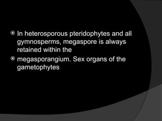  In heterosporous pteridophytes and all
gymnosperms, megaspore is always
retained within the
 megasporangium. Sex organs of the
gametophytes
 