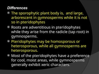 Differences
 The sporophytic plant body is, and large,
arborescent in gymnosperms while it is not
so in pteridophytes
 Roots are adventitious in pteridophytes
while they arise from the radicle (tap root) in
gymnosperms.
 Pteridophytes may be homosporous or
heterosporous, while all gymnosperms are
heterosporous.
 Most of the pteridophytes have a preference
for cool, moist areas, while gymnosperms
generally exhibit xeric characters.
 