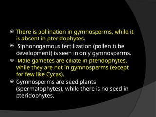  There is pollination in gymnosperms, while it
is absent in pteridophytes.
 Siphonogamous fertilization (pollen tube
development) is seen in only gymnosperms.
 Male gametes are ciliate in pteridophytes,
while they are not in gymnosperms (except
for few like Cycas).
 Gymnosperms are seed plants
(spermatophytes), while there is no seed in
pteridophytes.
 