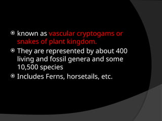  known as vascular cryptogams or
snakes of plant kingdom.
 They are represented by about 400
living and fossil genera and some
10,500 species
 Includes Ferns, horsetails, etc.
 