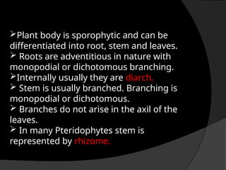 Plant body is sporophytic and can be
differentiated into root, stem and leaves.
 Roots are adventitious in nature with
monopodial or dichotomous branching.
Internally usually they are diarch.
 Stem is usually branched. Branching is
monopodial or dichotomous.
 Branches do not arise in the axil of the
leaves.
 In many Pteridophytes stem is
represented by rhizome.
 