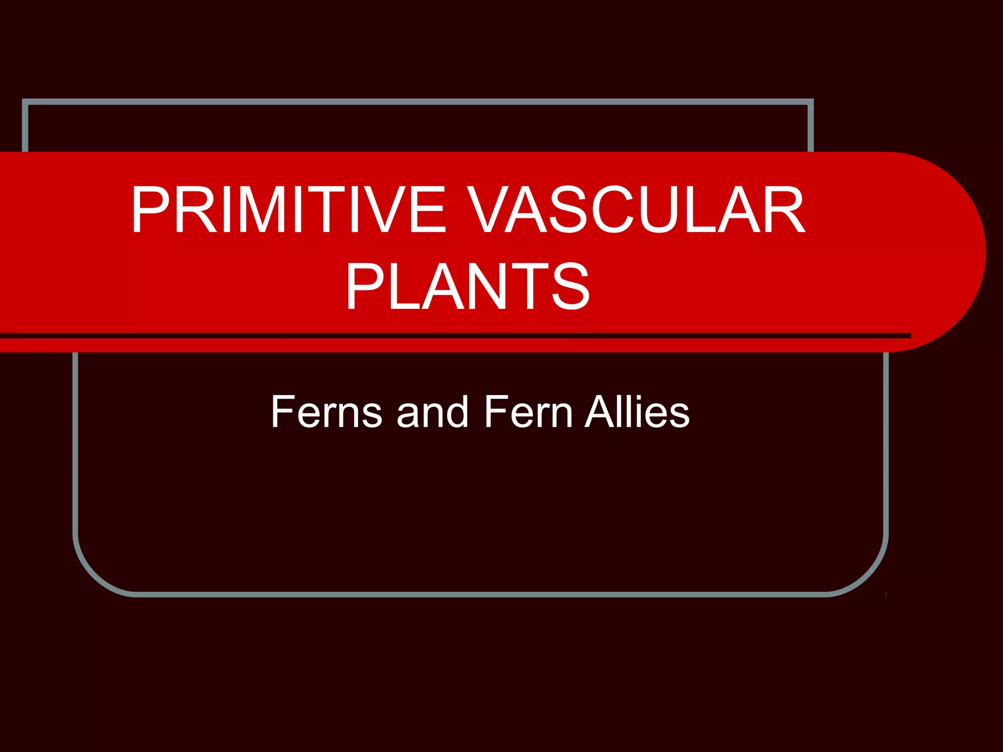 Ferns & fern allies | PPT