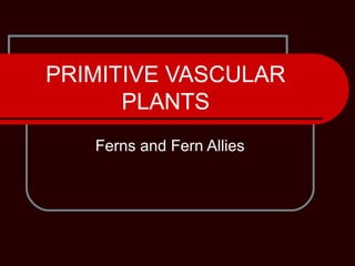 PRIMITIVE VASCULAR
PLANTS
Ferns and Fern Allies
 