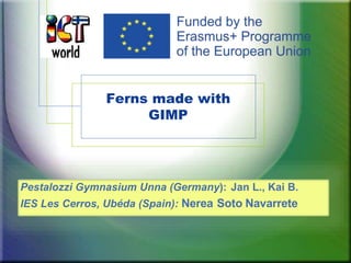 Ferns made with
GIMP
Pestalozzi Gymnasium Unna (Germany): Jan L., Kai B.
IES Les Cerros, Ubéda (Spain): Nerea Soto Navarrete
 