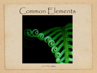 Common Elements

     By Fern




      picture By   aussiegall
 