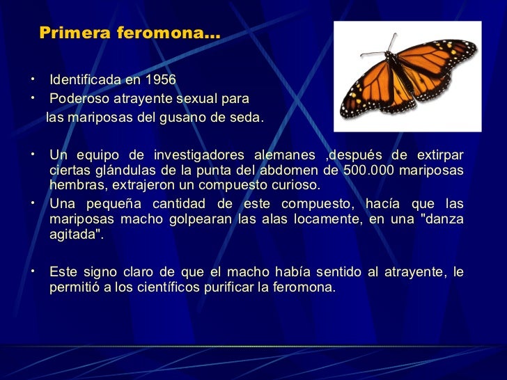 Feromonas