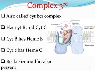 Complex 3rd
 Also called cyt bc1 complex
 Has cyt B and Cyt C
 Cyt B has Heme B
 Cyt c has Heme C
 Reskie iron sulfur also
present 1410/27/2017
 