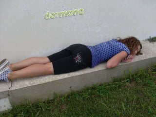 dormono