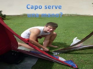 Capo serve una mano?