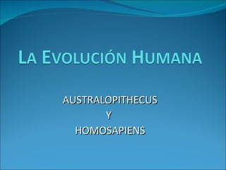 AUSTRALOPITHECUS Y  HOMOSAPIENS 