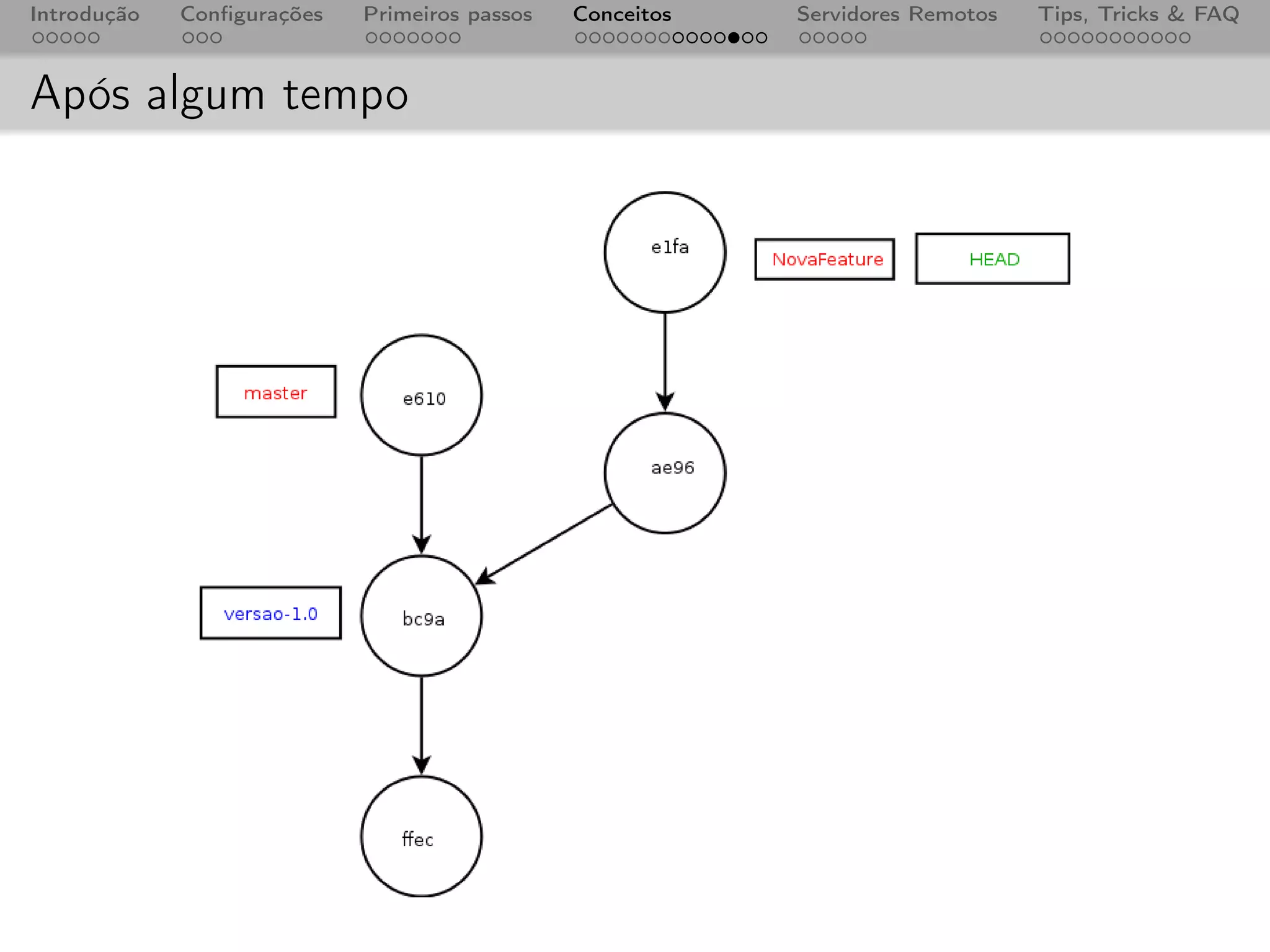 Introdução   Conﬁgurações   Primeiros passos   Conceitos   Servidores Remotos   Tips, Tricks & FAQ



Após algum tempo
 