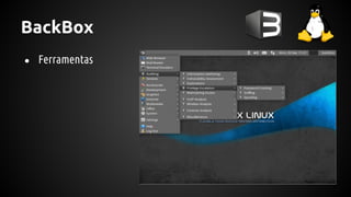 BackBox
● Ferramentas
 