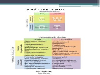 Figura 1: Matriz SWOT 
Fonte: Silva, 2009  