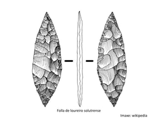 Folla de loureiro solutrense
                               Imaxe: wikipedia
 