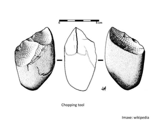 Chopping tool


                Imaxe: wikipedia
 