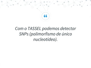 “
Com o TASSEL podemos detectar
SNPs (polimorfismo de único
nucleotídeo).