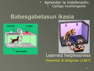 Babesgabetasun ikasia Aprender la indefensión:  Castigo incontingente Learned helplessness Overmier & Seligman (1967) 