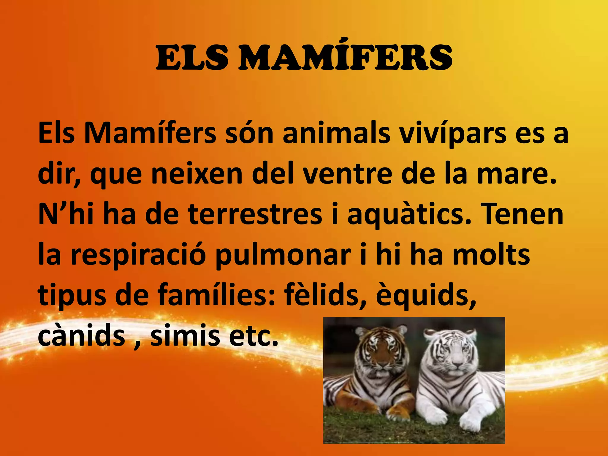 ELS MAMÍFERS
Els Mamífers són animals vivípars es a
dir, que neixen del ventre de la mare.
N’hi ha de terrestres i aquàtics. Tenen
la respiració pulmonar i hi ha molts
tipus de famílies: fèlids, èquids,
cànids , simis etc.
 