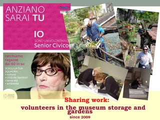 Sharing work:
volunteers in the museum storage and
gardens
since 2009

 