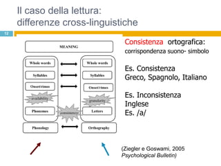 Il caso della lettura:
     differenze cross-linguistiche
12

                               Consistenza ortografica:
                               corrispondenza suono- simbolo

                               Es. Consistenza
                               Greco, Spagnolo, Italiano

                               Es. Inconsistenza
                               Inglese
                               Es. /a/



                              (Ziegler e Goswami, 2005
                              Psychological Bulletin)
 