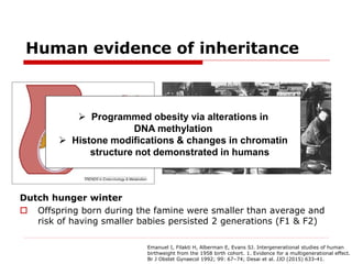 Developmental Origins of Obesity: The Role of Epigenetics | PDF