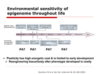 Developmental Origins of Obesity: The Role of Epigenetics | PDF