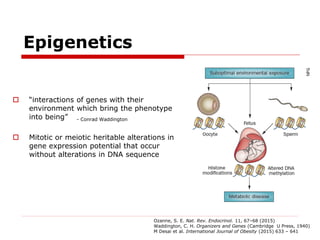 Developmental Origins of Obesity: The Role of Epigenetics | PDF