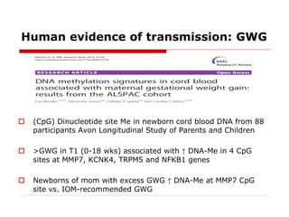 Human evidence of transmission: GWG
 (CpG) Dinucleotide site Me in newborn cord blood DNA from 88
participants Avon Longi...