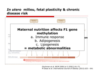 In utero milieu, fetal plasticity & chronic
disease risk
Gluckman et al. NEJM 2008 Jul 3;359(1):61-73.
M Desai et al. Inte...