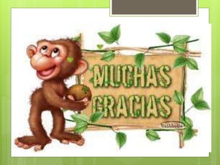 GESTORES DE: IMÁGENES/VÍDEOS.