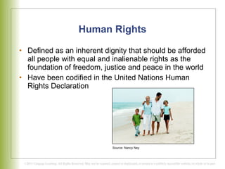 Human Rights Defined as an inherent dignity that should be afforded all people with equal and inalienable rights as the foundation of freedom, justice and peace in the world Have been codified in the United Nations Human Rights Declaration Source: Nancy Ney 